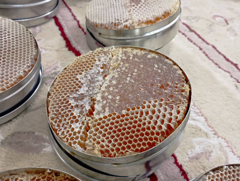 قرص شمع عسل